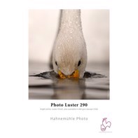 Hahnemühle Photo Luster 290 g/m² - 17" x 30 metros 